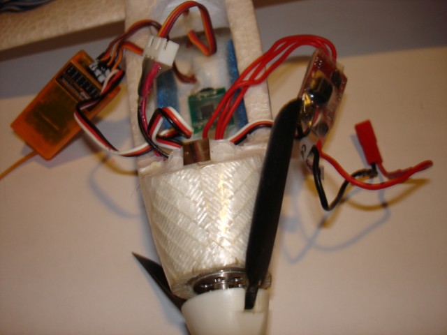 Electr&oacute;nica del modelo